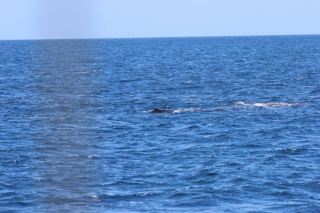 8e105751-f956-4eb2-8914-904a1c6f13ec