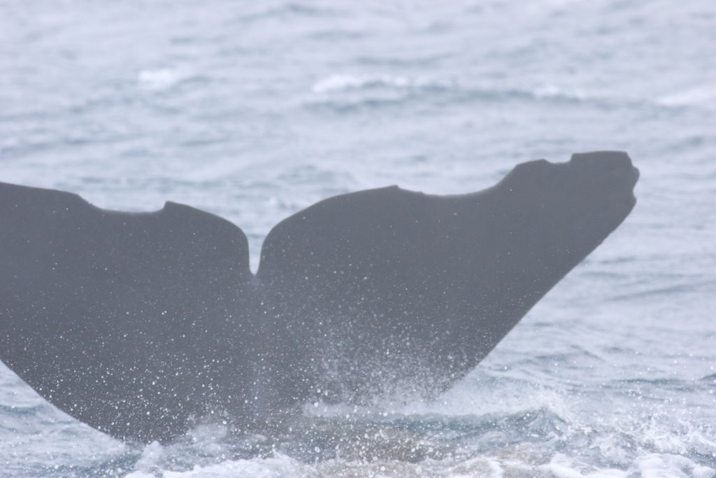 78bd0ae9-1c78-423f-87b9-979946b6ef9d