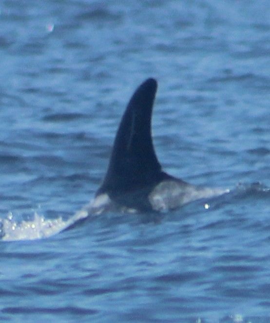 a0da8905-2a9f-400d-b420-ed1c7ac2d6bb