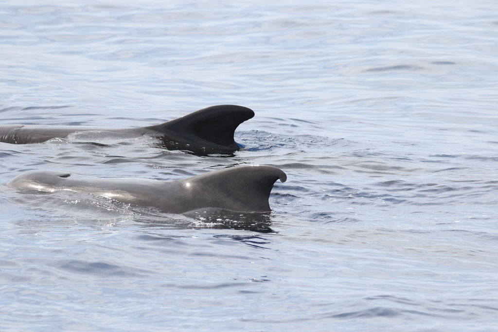 4549030b-5c9e-4c4d-b8ca-ac8f9d345647