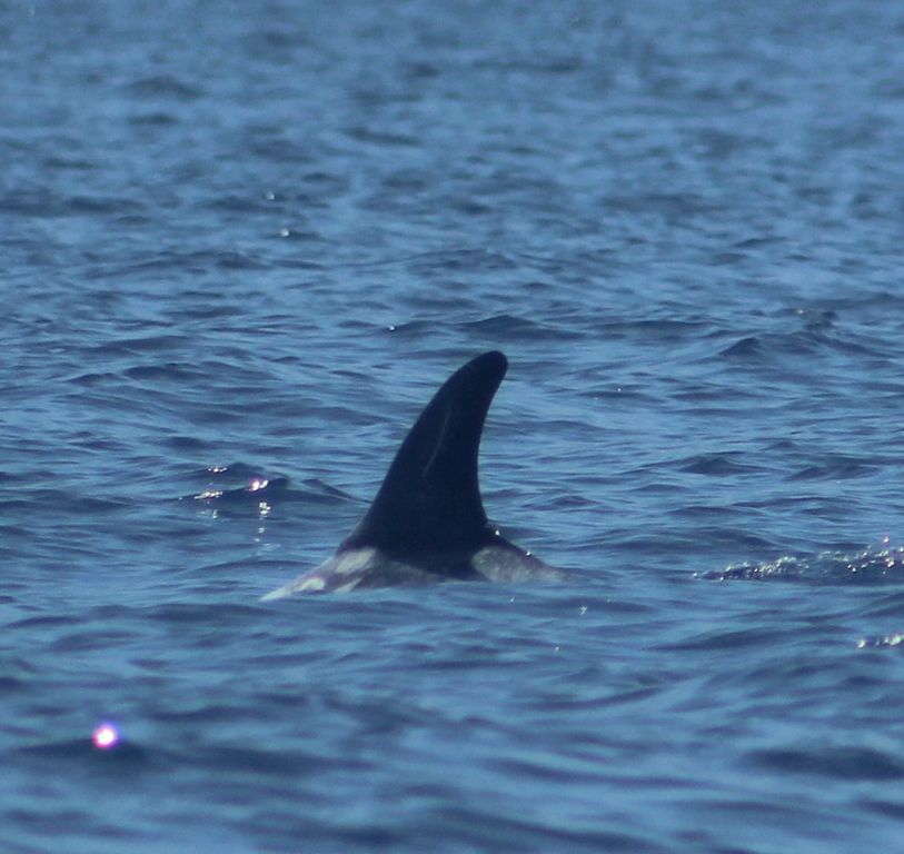 a0da8905-2a9f-400d-b420-ed1c7ac2d6bb