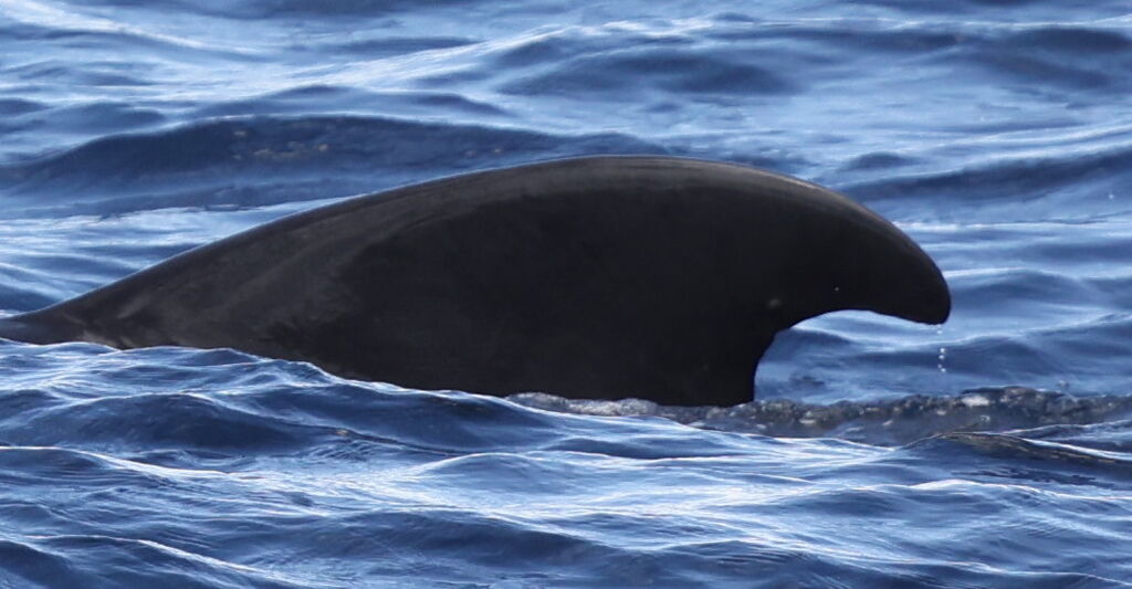 78769b0f-8246-439b-b5d1-8e231dc3a807