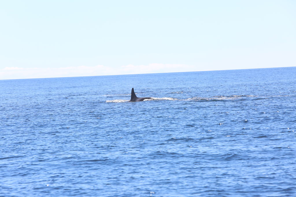 4ed20365-0481-417e-99a8-c77f5acc72c9