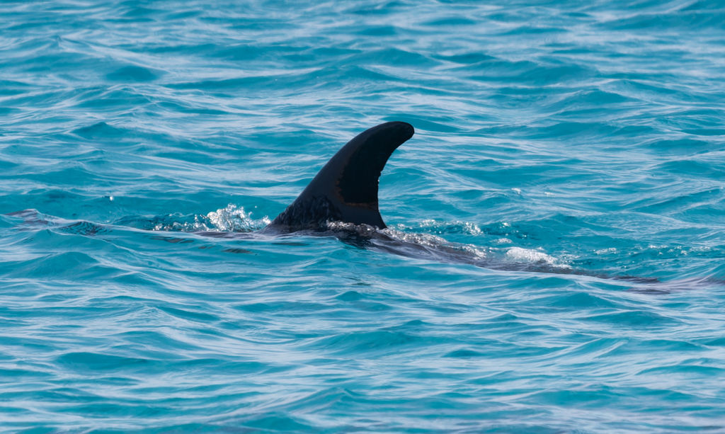 37421672-3409-4af2-bb5d-437e8ab62c73