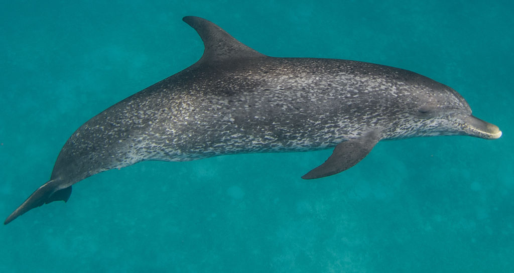 35d0fd81-c165-4c46-a086-41388c78b5de