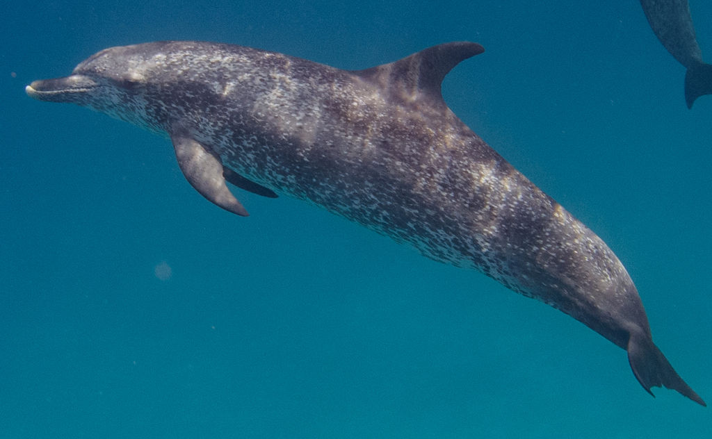 35d0fd81-c165-4c46-a086-41388c78b5de