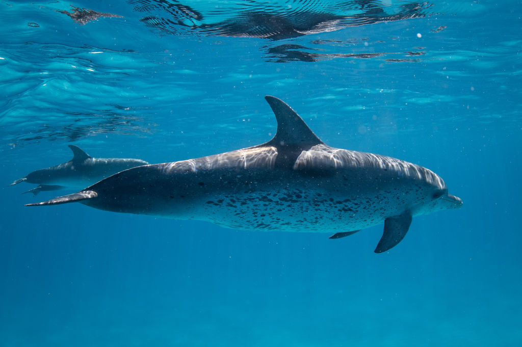 6c02fd17-1e6e-4034-8619-7a21f944248a