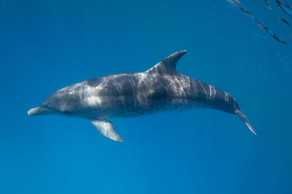 6c02fd17-1e6e-4034-8619-7a21f944248a