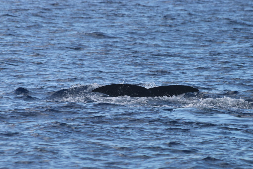 bfabec9e-2494-4593-a95f-158eec58ece6