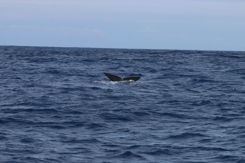 cc4fd7d3-ad4a-4f3a-b0a5-07b3a8e12f94