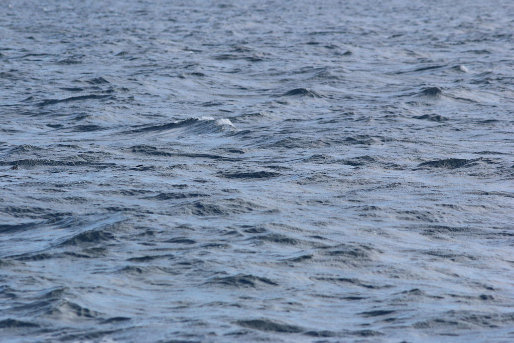 8e105751-f956-4eb2-8914-904a1c6f13ec