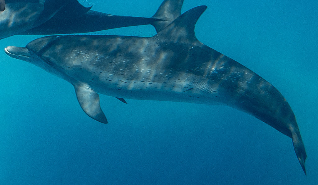 ea373a16-5c23-4d46-b7e2-e627f1a10576