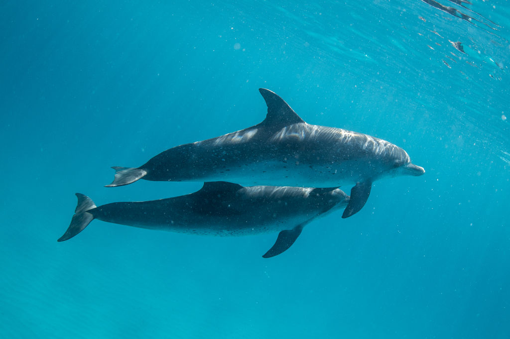 ea373a16-5c23-4d46-b7e2-e627f1a10576