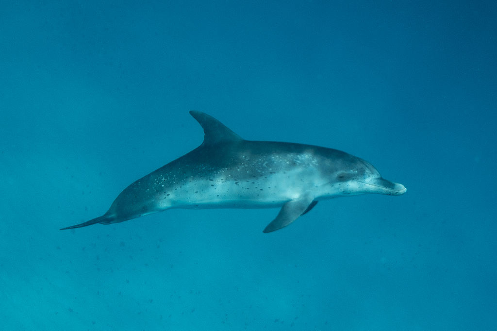 ea373a16-5c23-4d46-b7e2-e627f1a10576