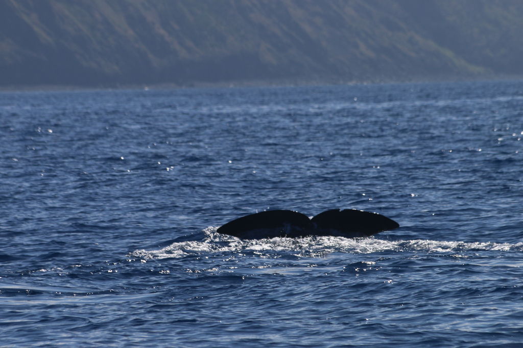 bfabec9e-2494-4593-a95f-158eec58ece6