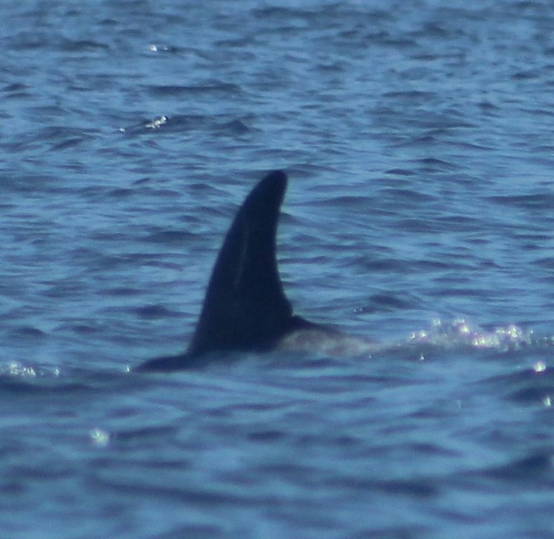 a0da8905-2a9f-400d-b420-ed1c7ac2d6bb