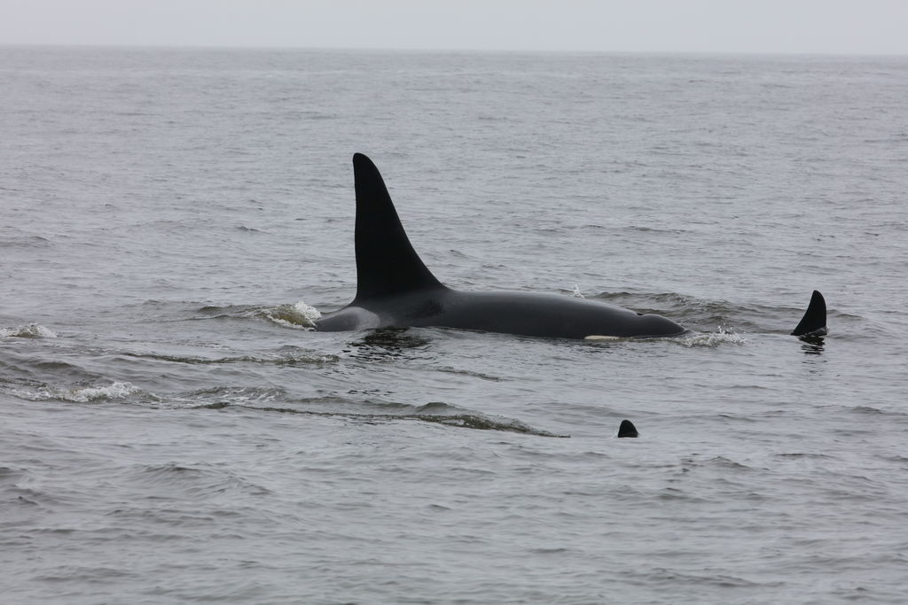 cab02390-b3c9-48aa-b208-2081920dafaa