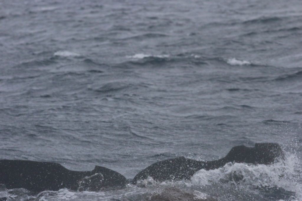 78bd0ae9-1c78-423f-87b9-979946b6ef9d