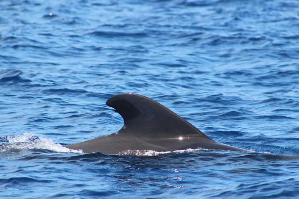 43642a5f-1e20-42b7-ae93-03a44e7af10e