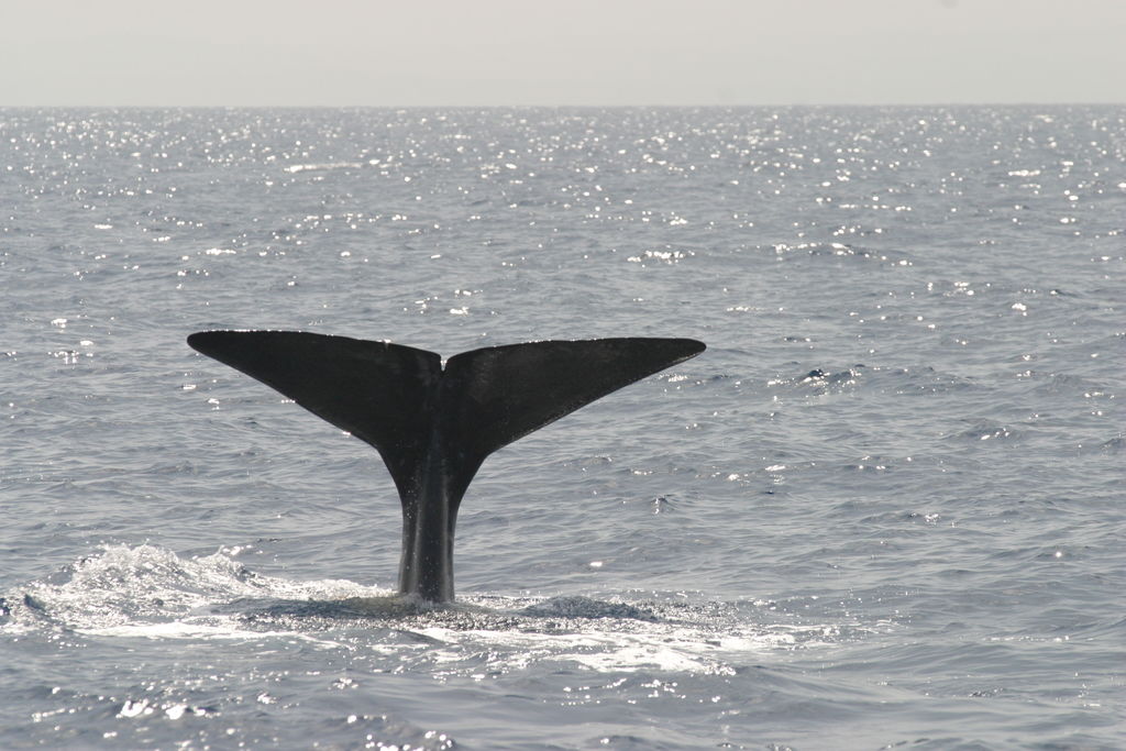 724e8400-d10a-47e0-9138-429dc1612d93