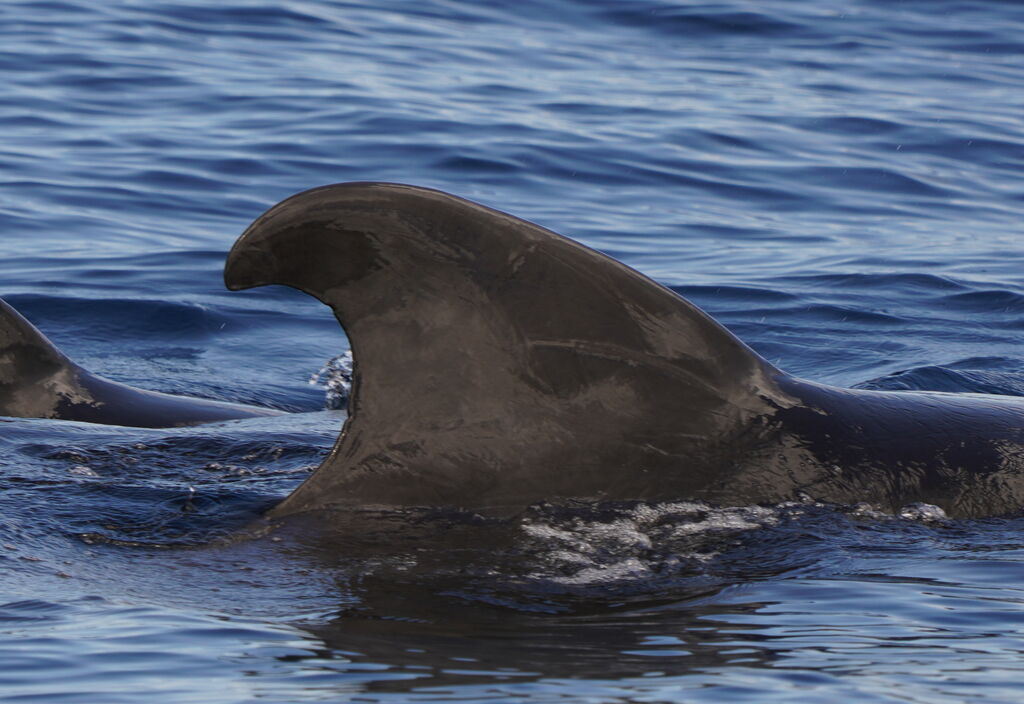 78769b0f-8246-439b-b5d1-8e231dc3a807