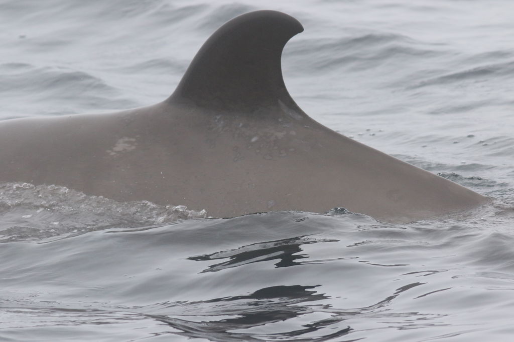 3b1f0809-107b-4586-8298-0f1e669e6c82