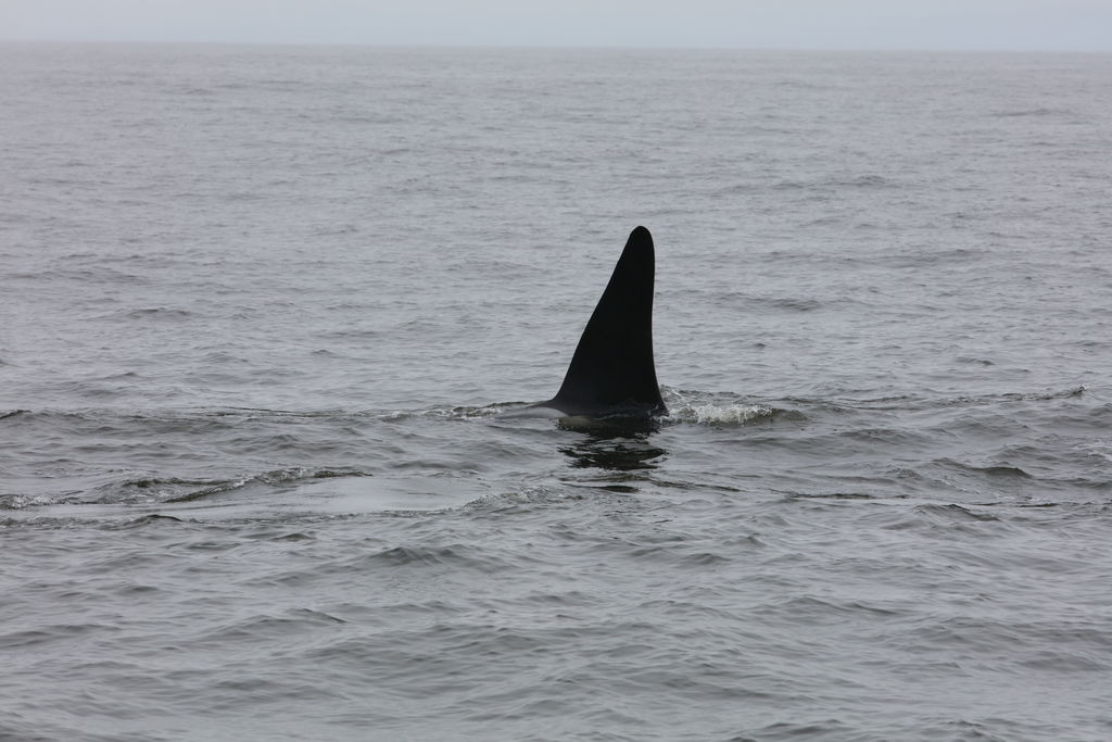 cab02390-b3c9-48aa-b208-2081920dafaa