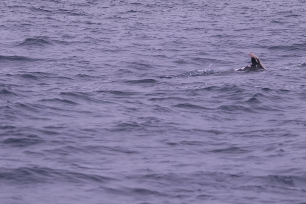 7e5be5d6-60cf-40ab-99e6-c45c768cf284