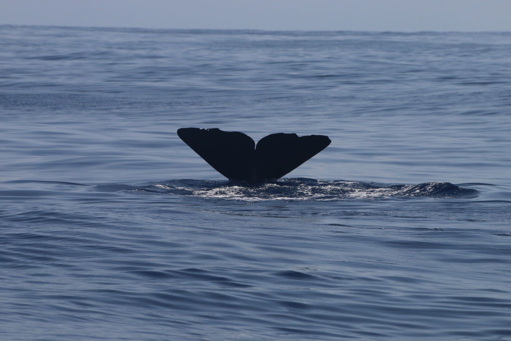 7f7cc764-4ac8-42f1-ae96-4325bf0128cd