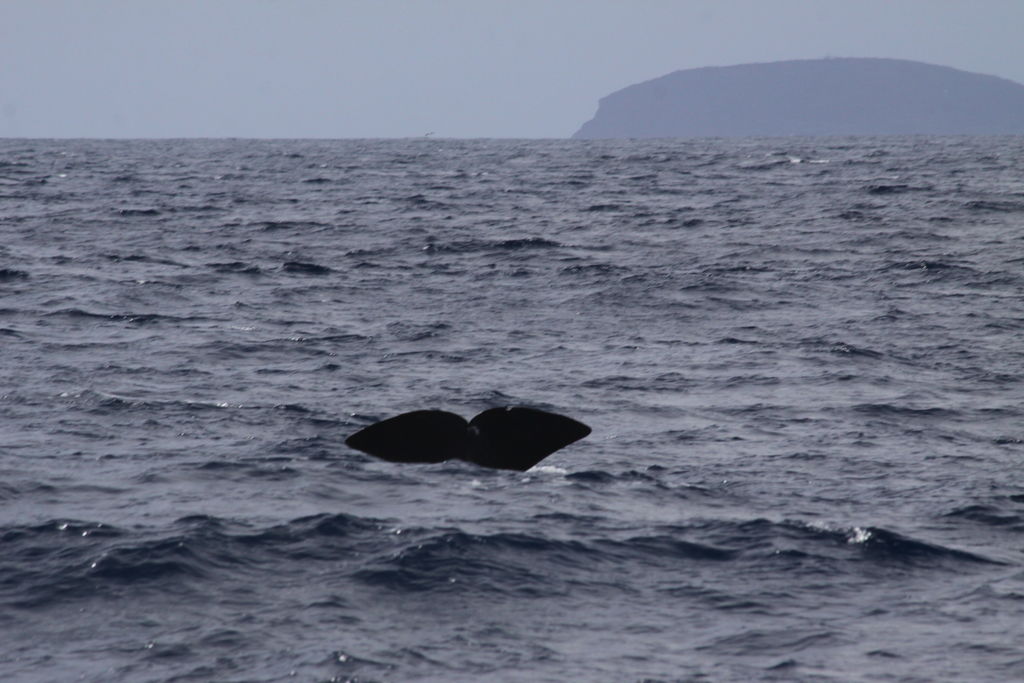 bfabec9e-2494-4593-a95f-158eec58ece6