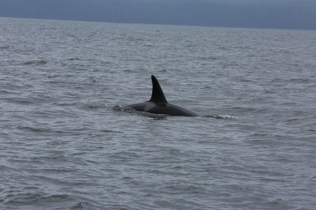 3d3ec6d9-8777-4275-8d98-ac4d23ac8b6f