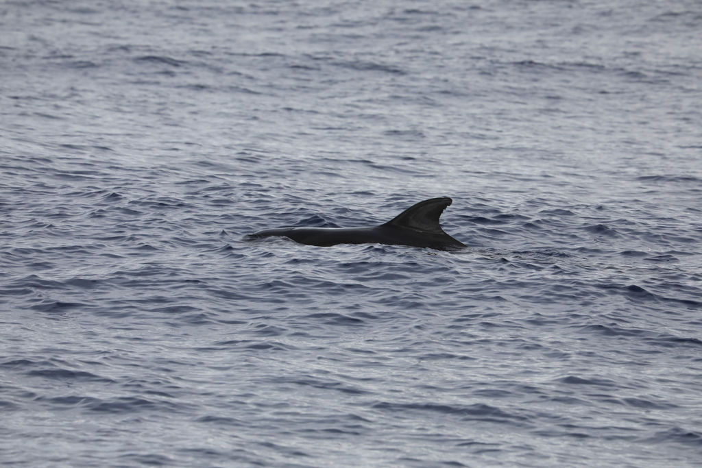 51dbf58a-b055-41ee-b485-29f517869e05