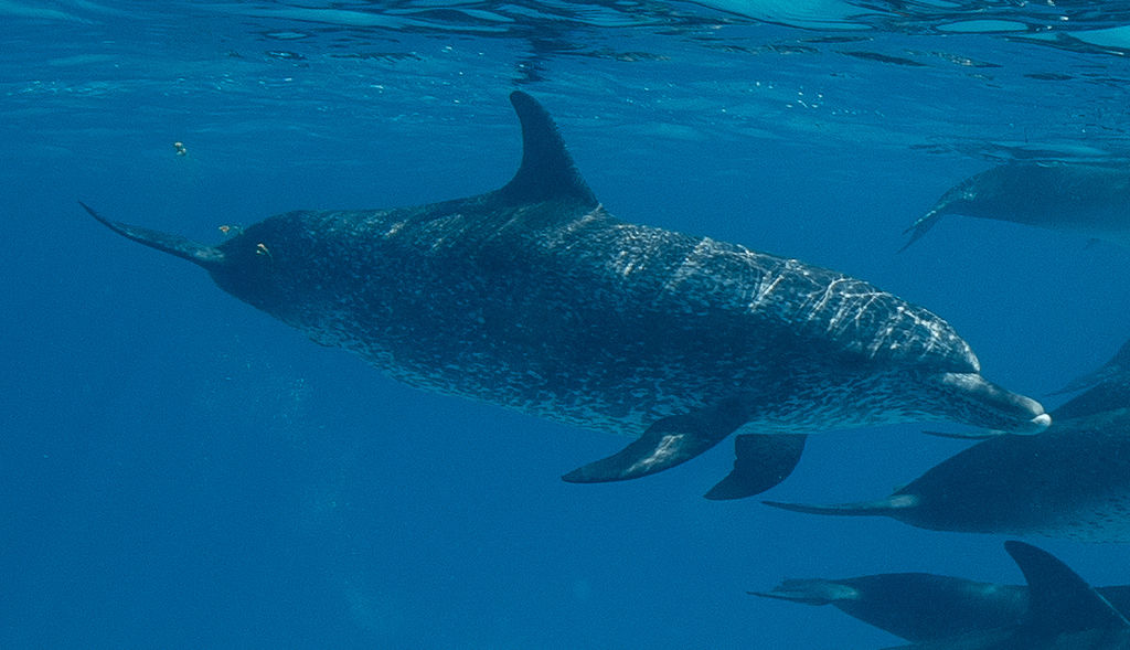 35d0fd81-c165-4c46-a086-41388c78b5de