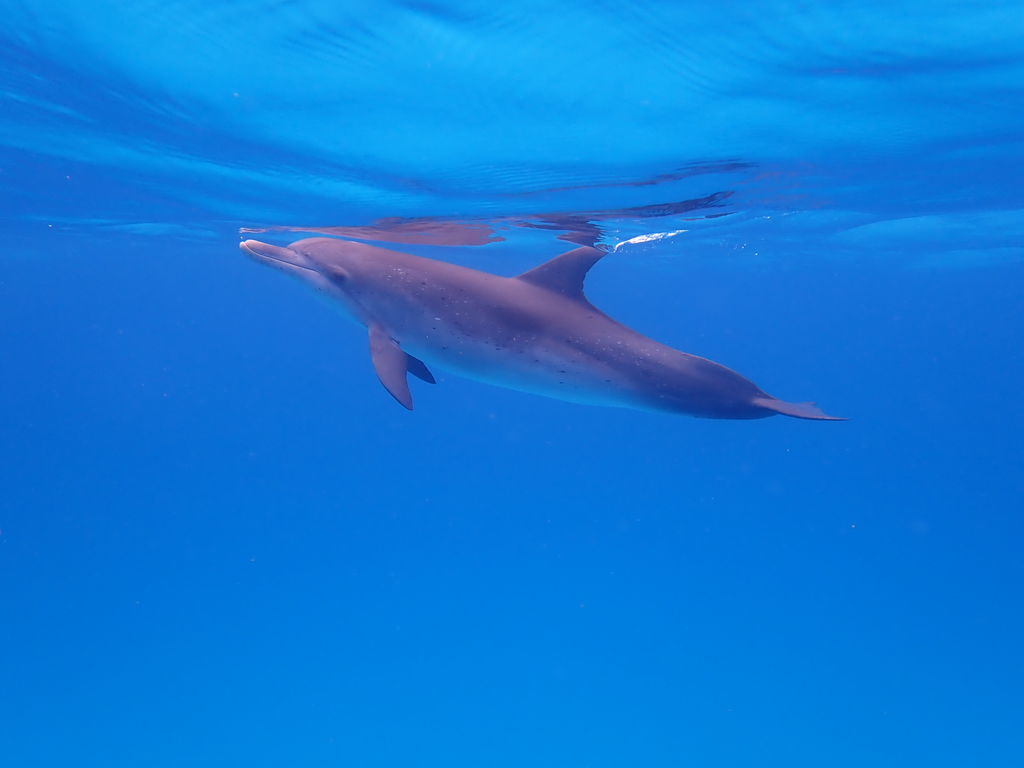 ea373a16-5c23-4d46-b7e2-e627f1a10576