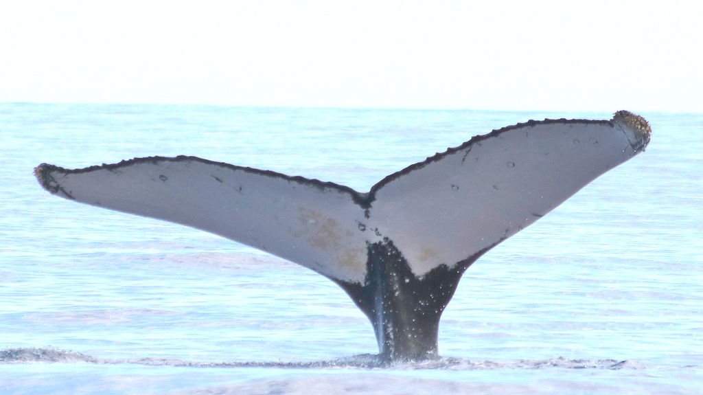 92692561-d652-42b9-804e-b66c02924a4e