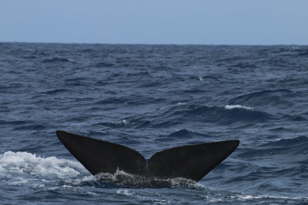 cc4fd7d3-ad4a-4f3a-b0a5-07b3a8e12f94