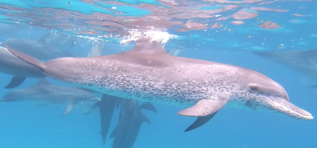 2c908313-d00f-4456-8a70-e25bd0b349e4