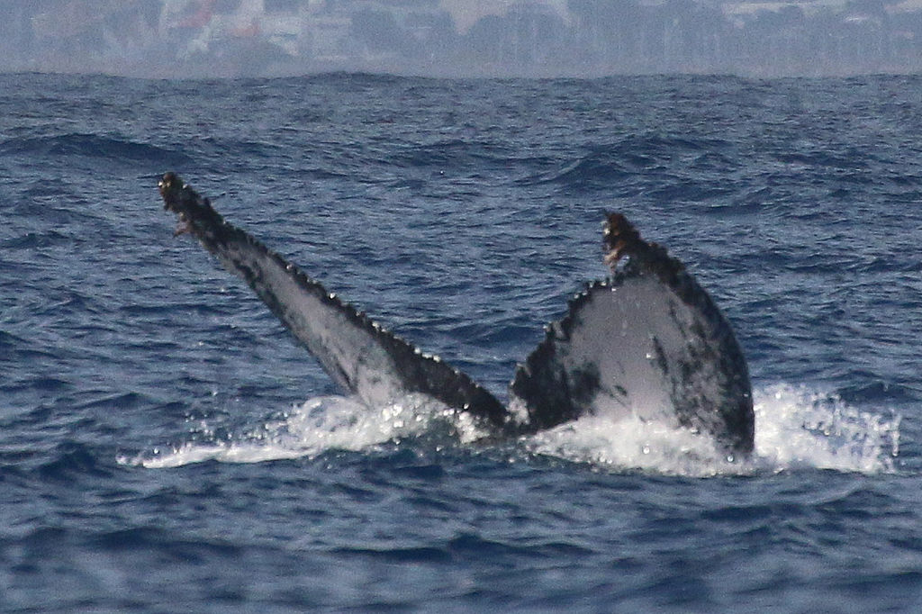 2c208ef4-484c-4968-958e-a7e5f9095f7f