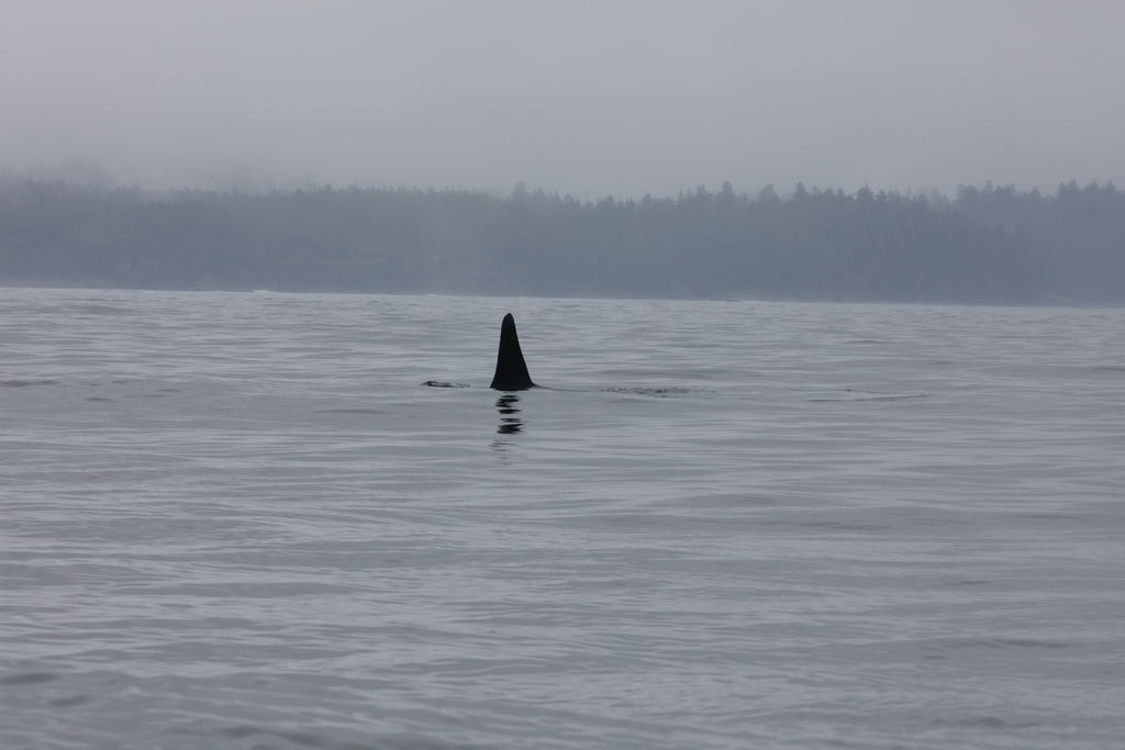 30e909ef-2711-40c3-a689-4677d951b6dd