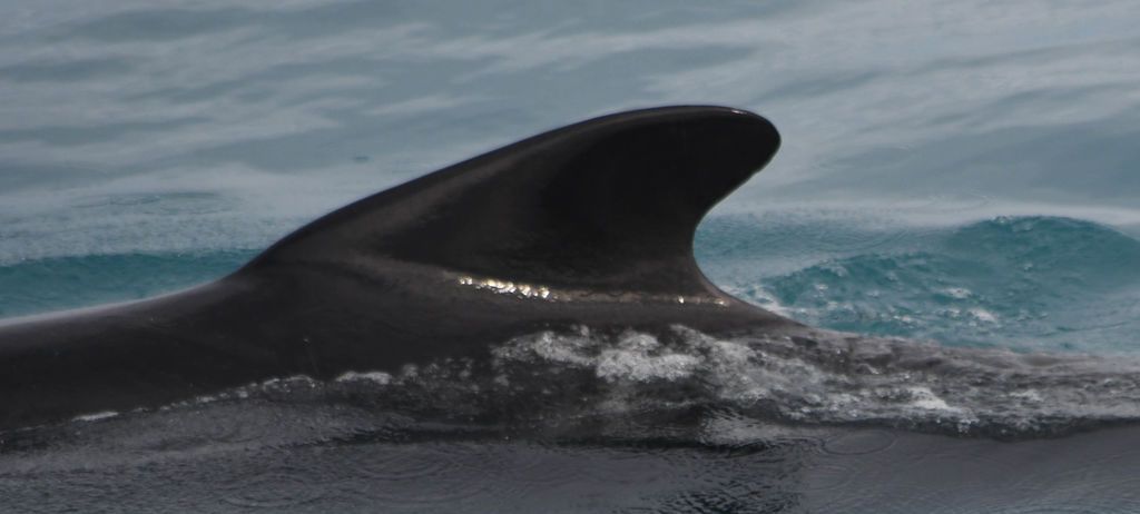 c1be3f69-1951-4682-b6fa-1dae7fb26da3