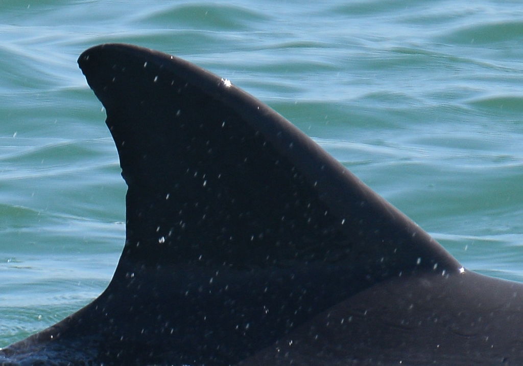 8a1c7a40-e60b-40a1-affb-fa082758f57b