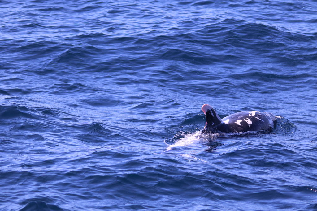 7e5be5d6-60cf-40ab-99e6-c45c768cf284