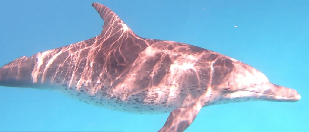 09de8230-c422-47b0-a188-2e77978ddbe7