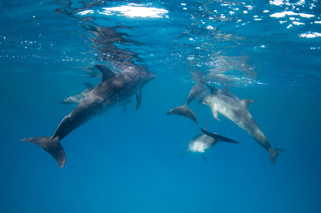 09de8230-c422-47b0-a188-2e77978ddbe7