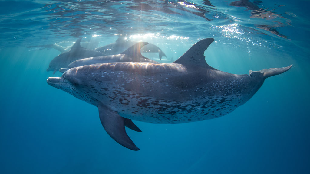 09de8230-c422-47b0-a188-2e77978ddbe7