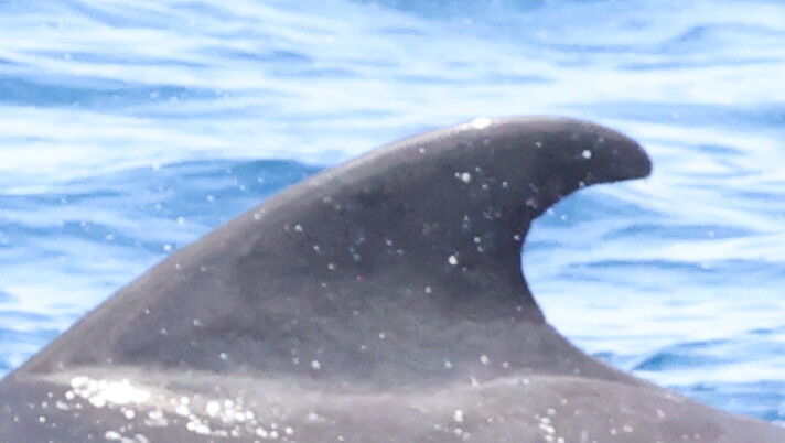 78769b0f-8246-439b-b5d1-8e231dc3a807