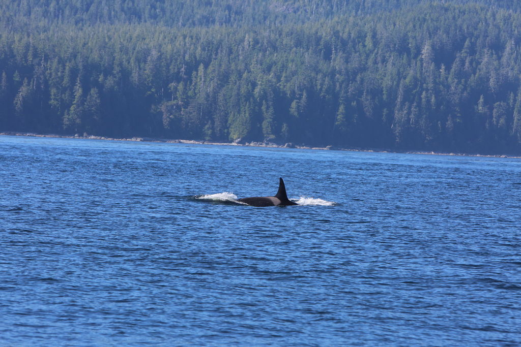 4ed20365-0481-417e-99a8-c77f5acc72c9