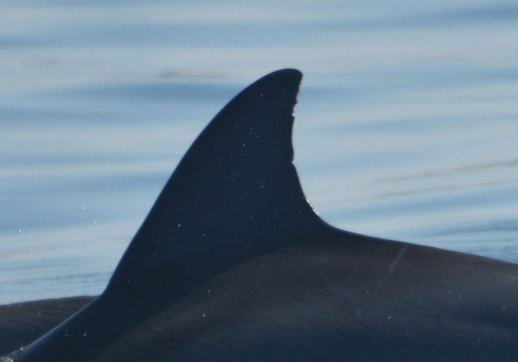 8a1c7a40-e60b-40a1-affb-fa082758f57b