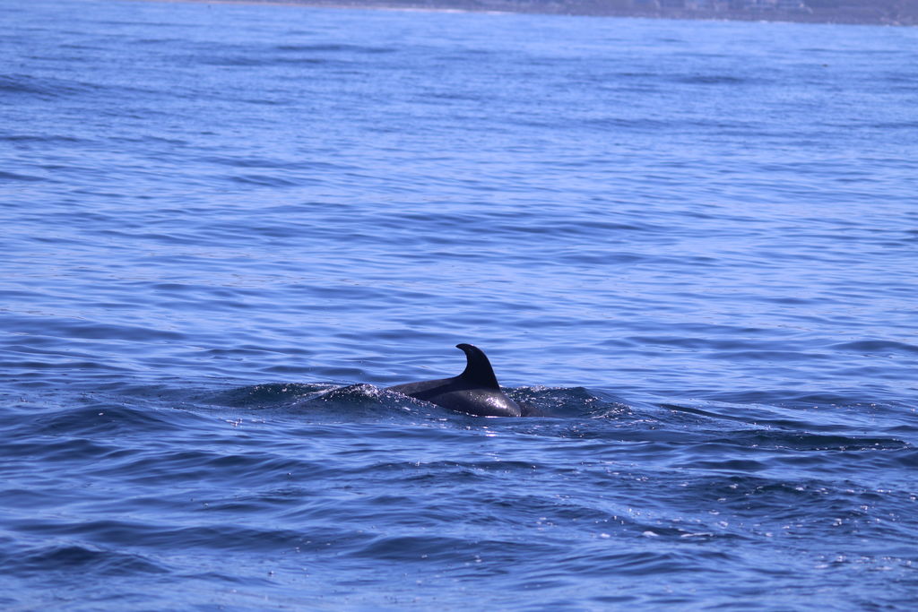 5d3ce08c-a847-4c31-8091-e0b14aa9457f