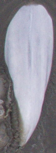 ecee3c53-4fc1-462a-b87b-d71bb7472dac